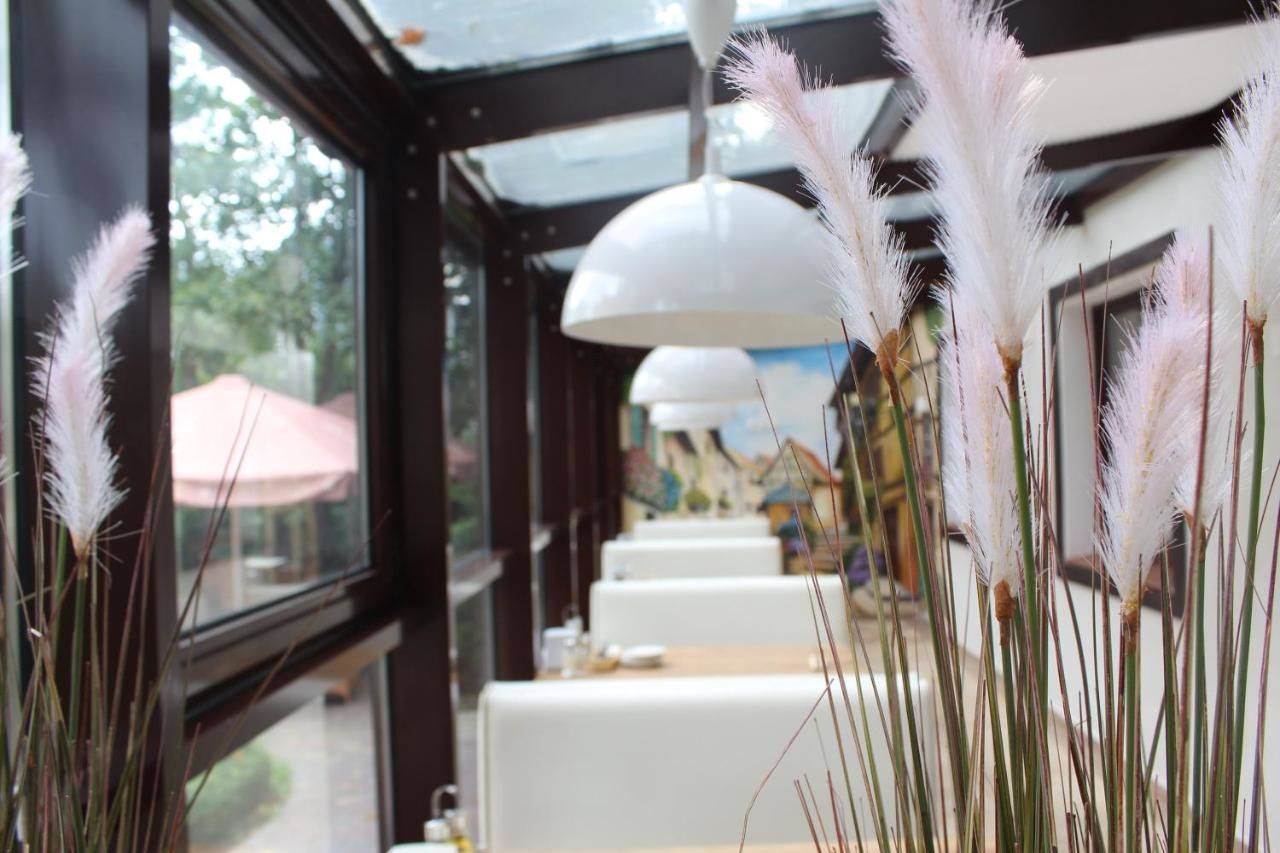 Фото Гостиницы Геркулес Зеленоградск 9